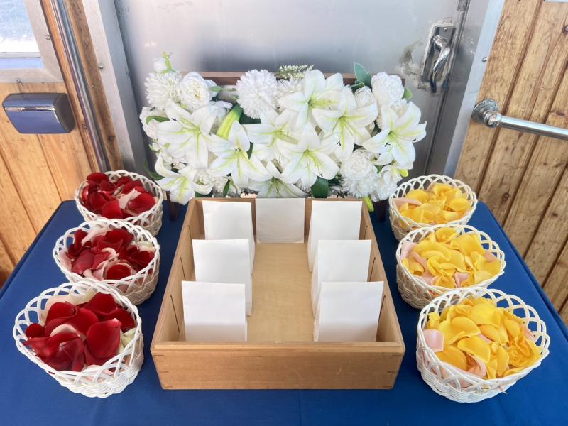 チャータープラン　太平洋　愛知県　日間賀島沖　6名様　（‘25/11/14）