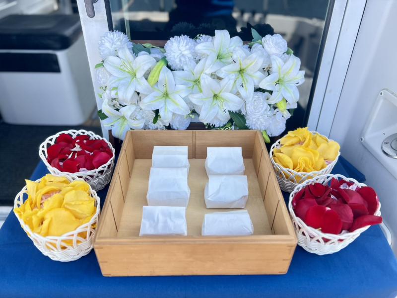 チャータープラン 太平洋 福島県 いわきマリンタワー沖 4名様 (‘26/3/17)