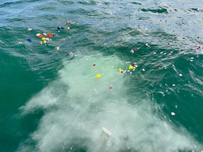 代行チャータープラン　瀬戸内海　岡山県　児島沖　（‘25/10/15）