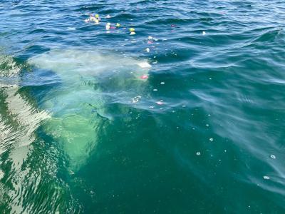 代行プラン・合同チャータープラン 瀬戸内海 岡山県 児島沖 (‘25/11/8)