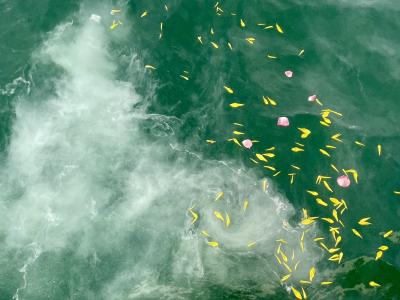 代行プラン　瀬戸内海　岡山県　宇野沖　（‘25/12/19）