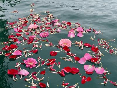 代行プラン　瀬戸内海　岡山県　児島沖　（‘26/1/19）