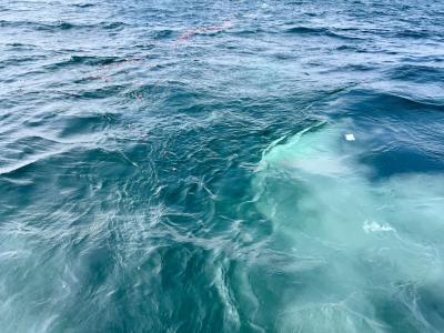代行プラン　瀬戸内海　岡山県　宇野沖　（‘26/2/13）