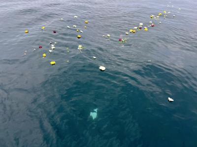 チャータープラン　日本海　島根県　浜田沖　6名様　（‘25/08/09）