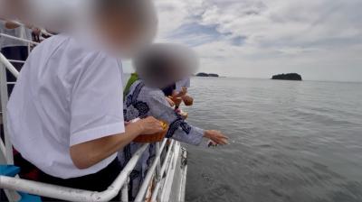 チャータープラン　太平洋　愛知県　日間賀島沖　30名様　（‘25/09/14）