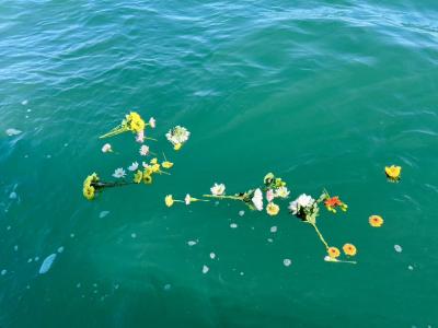 代行プラン・合同チャータープラン 瀬戸内海 岡山県 宇野沖 (‘25/10/10)