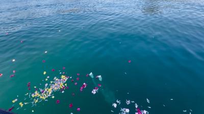 チャータープラン　瀬戸内海　広島県　尾道沖　15名様　（‘25/11/30）