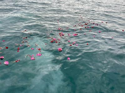 代行プラン　瀬戸内海　岡山県　児島沖　（‘26/1/19）