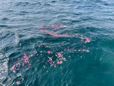 代行プラン　瀬戸内海　岡山県　宇野沖　（‘26/2/13）