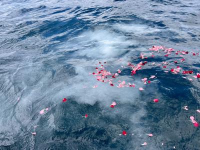 代行プラン・合同チャータープラン　瀬戸内海　岡山県　児島沖　（‘26/3/13）