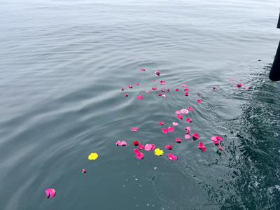 チャータープラン　瀬戸内海　兵庫県　明石海峡沖　10名様　（‘26/3/22）